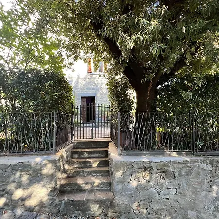 The Architects House 코르토나
